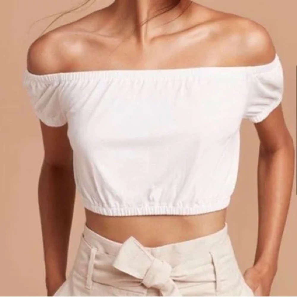 Aritzia Wilfred Adelina Crop Top